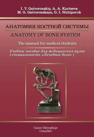 Anatomy of bone system. The manual for medical students / Анатомия костной системы. Учебное пособие для медицинских вузов. Г. И. Ничипорук