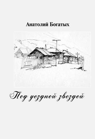 Под уездной звездой. Анатолий Богатых