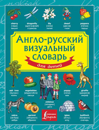Группа авторов. Англо-русский визуальный словарь для детей