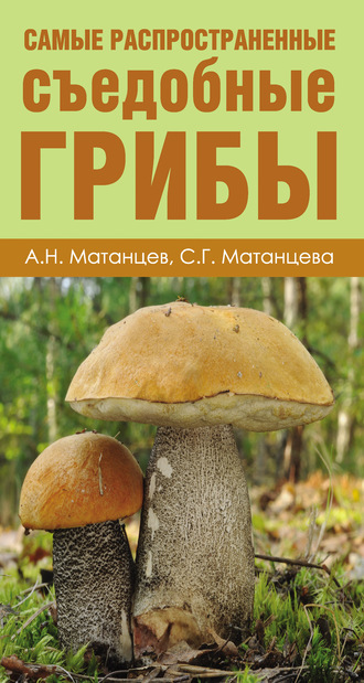 Александр Матанцев. Самые распространенные съедобные грибы