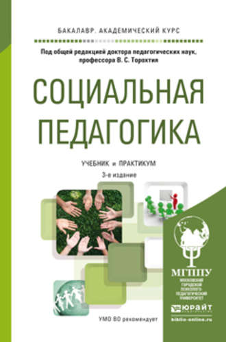 Социальная педагогика. Учебник и практикум для академического бакалавриата. Елена Ивановна Сухова