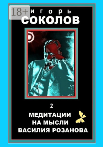Медитации на мысли Василия Розанова. том 2. Игорь Павлович Соколов