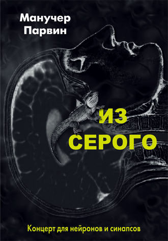 Из серого. Концерт для нейронов и синапсов. Манучер Парвин