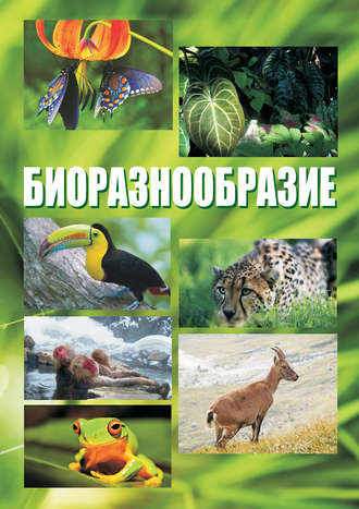 Биоразнообразие. Курс лекций. Группа авторов