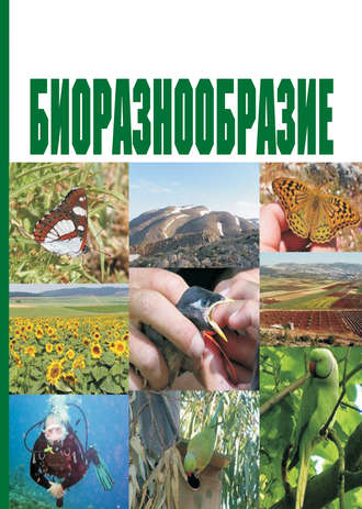 Биоразнообразие. Учебное пособие. И. О. Лысенко