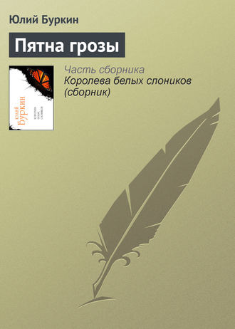 Пятна грозы. 