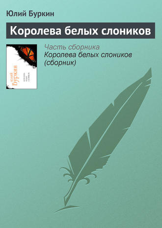 Королева белых слоников. 