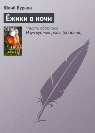 Юлий Буркин. Ёжики в ночи