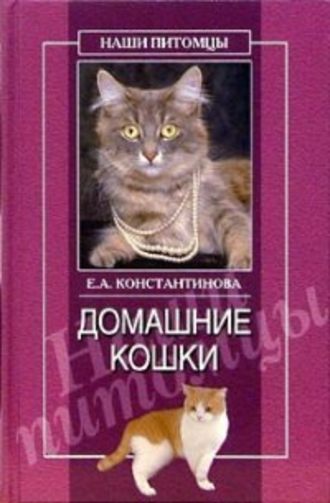 Екатерина Константинова. Домашние кошки
