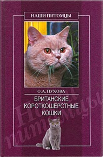 Олеся Пухова. Британские короткошерстные кошки