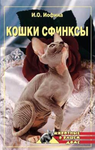 Дарья Нестерова. Кошки – сфинксы