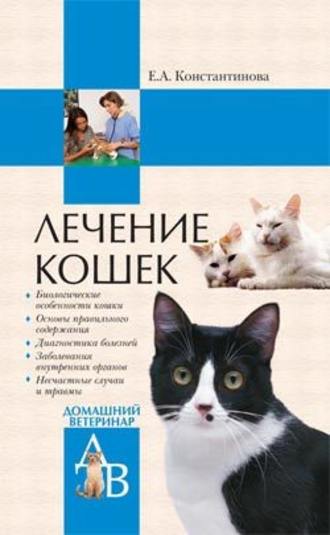 Екатерина Константинова. Лечение кошек