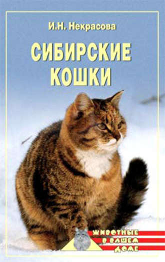 Ирина Некрасова. Сибирские кошки