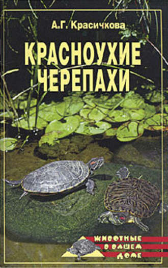 Анастасия Красичкова. Красноухие черепахи