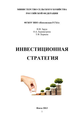 Инвестиционная стратегия. Т. Ф. Боряева