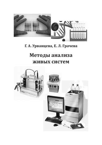 Методы анализа живых систем. Екатерина Грачева