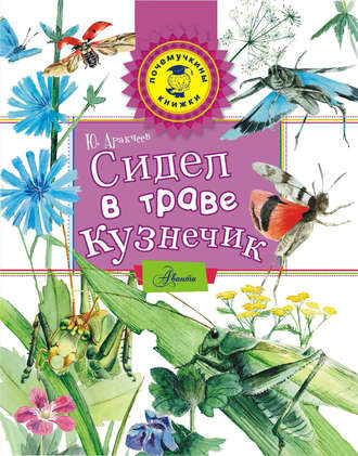 Сидел в траве кузнечик. Юрий Аракчеев