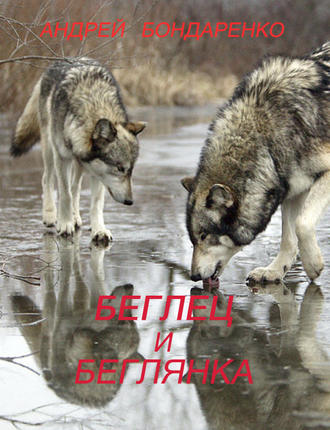 Беглец и Беглянка. Андрей Бондаренко