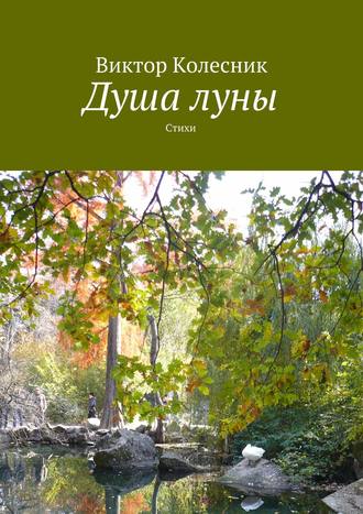 Душа луны. Виктор Колесник