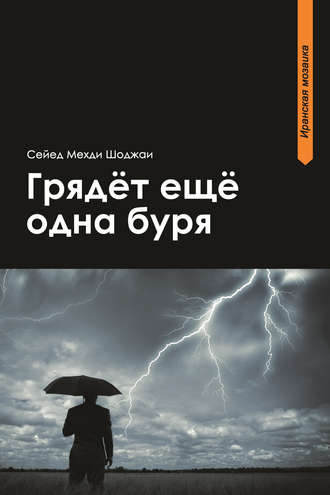 Грядет еще одна буря. Сейед Мехди Шоджаи
