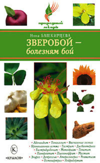 Зверобой – болезням бой. Нина Башкирцева