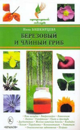 Березовый и чайный гриб. Нина Башкирцева