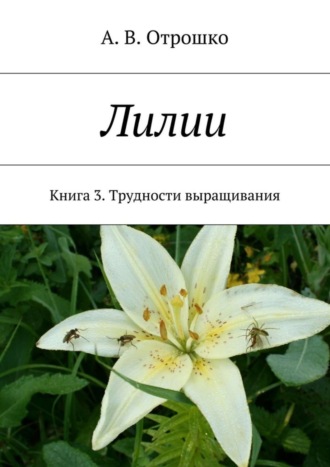 Лилии. А. В. Отрошко
