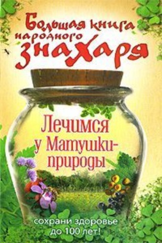 Большая книга народного знахаря. Лечимся у Матушки-природы. Группа авторов