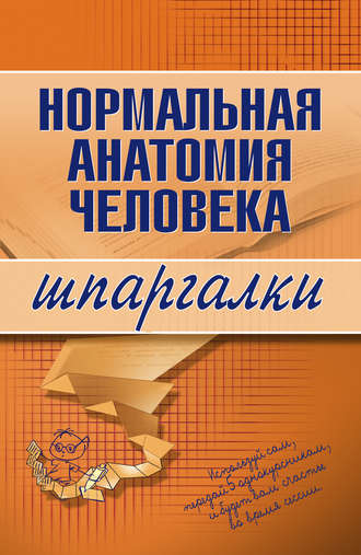 Нормальная анатомия человека. 