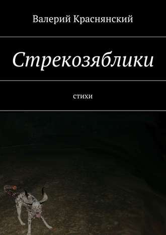 Валерий Олегович Краснянский. Стрекозяблики