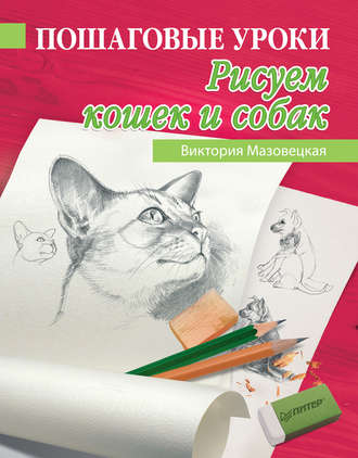 Пошаговые уроки рисования. Рисуем кошек и собак. 