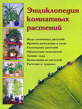 Наталья Шешко. Энциклопедия комнатных растений