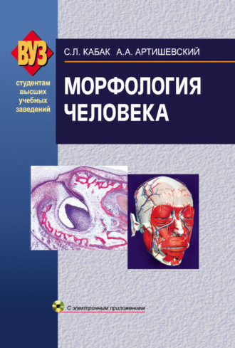 Морфология человека. А. А. Артишевский