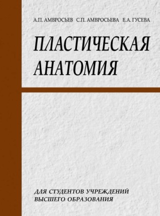 Пластическая анатомия. Елизавета Гусева