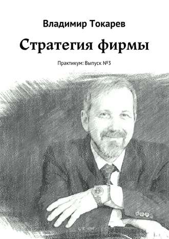 Владимир Токарев. Стратегия фирмы. Практикум: Выпуск №3