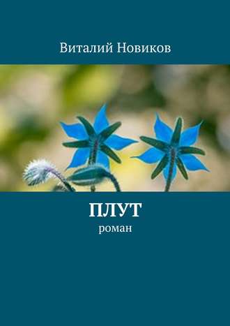 Виталий Новиков. Плут. роман