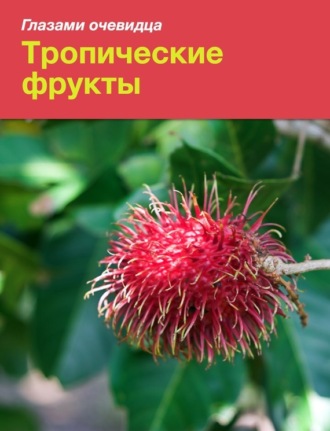 Екатерина Пугачёва. Тропические фрукты