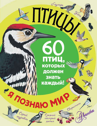 Группа авторов. Птицы. 60 птиц, которых должен знать каждый