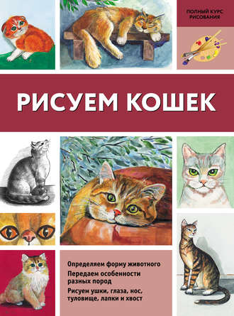 Нина Щербакова. Рисуем кошек