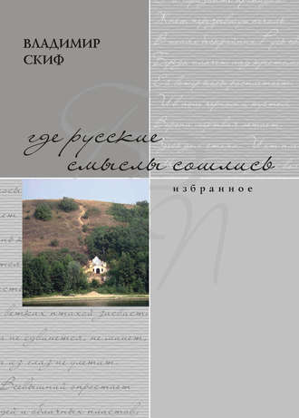 Где русские смыслы сошлись. Владимир Скиф