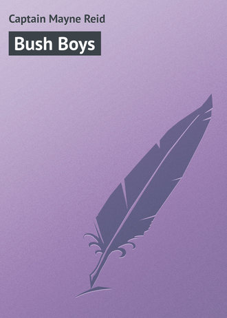 Майн Рид. Bush Boys