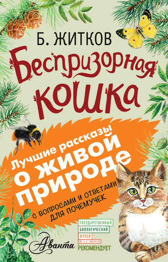Борис Житков. Беспризорная кошка (сборник). С вопросами и ответами для почемучек