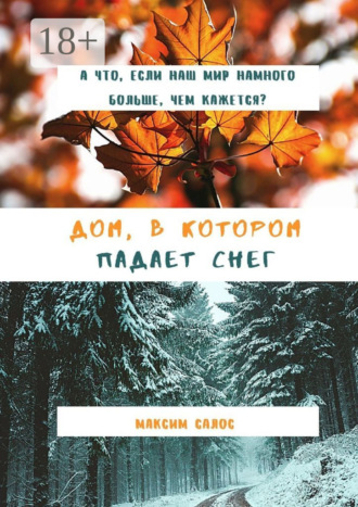 Дом, в котором падает снег. Максим Салос