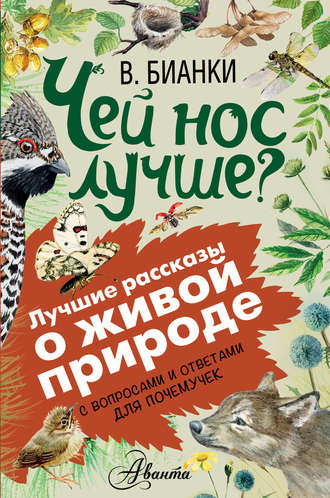 Чей нос лучше? С вопросами и ответами для почемучек. 