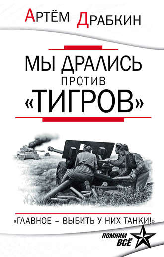 Мы дрались против «Тигров». «Главное – выбить у них танки!». 
