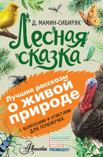 Дмитрий Мамин-Сибиряк. Лесная сказка. С вопросами и ответами для почемучек