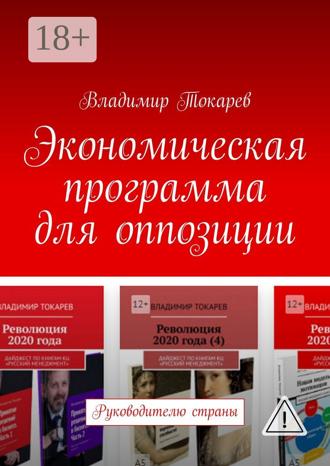 Экономическая программа для оппозиции. Руководителю страны. 
