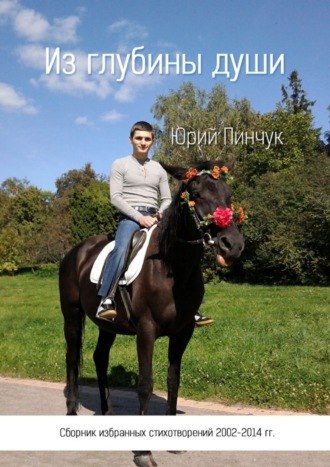 Из глубины души. Сборник избранных стихотворений 2002-2014 гг.. Юрий Юрьевич Пинчук