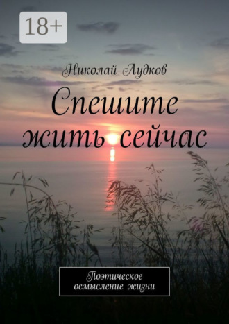Спешите жить сейчас. Поэтическое осмысление жизни. Николай Анатольевич Лудков