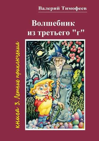 Валерий Тимофеев. Волшебник из третьего «г». Книга 3. Летние приключения